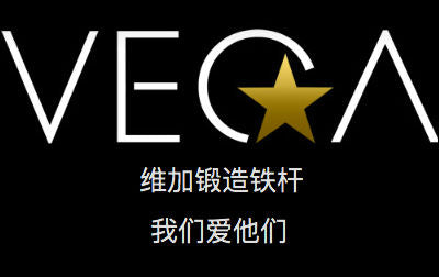 VEGA Golf - Forged Irons - Who / What are they? Explained