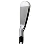 Mizuno Pro 225 Iron - View at Address